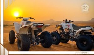Dubai Safari Motor