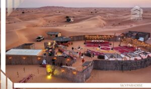 Dubai Safari Types